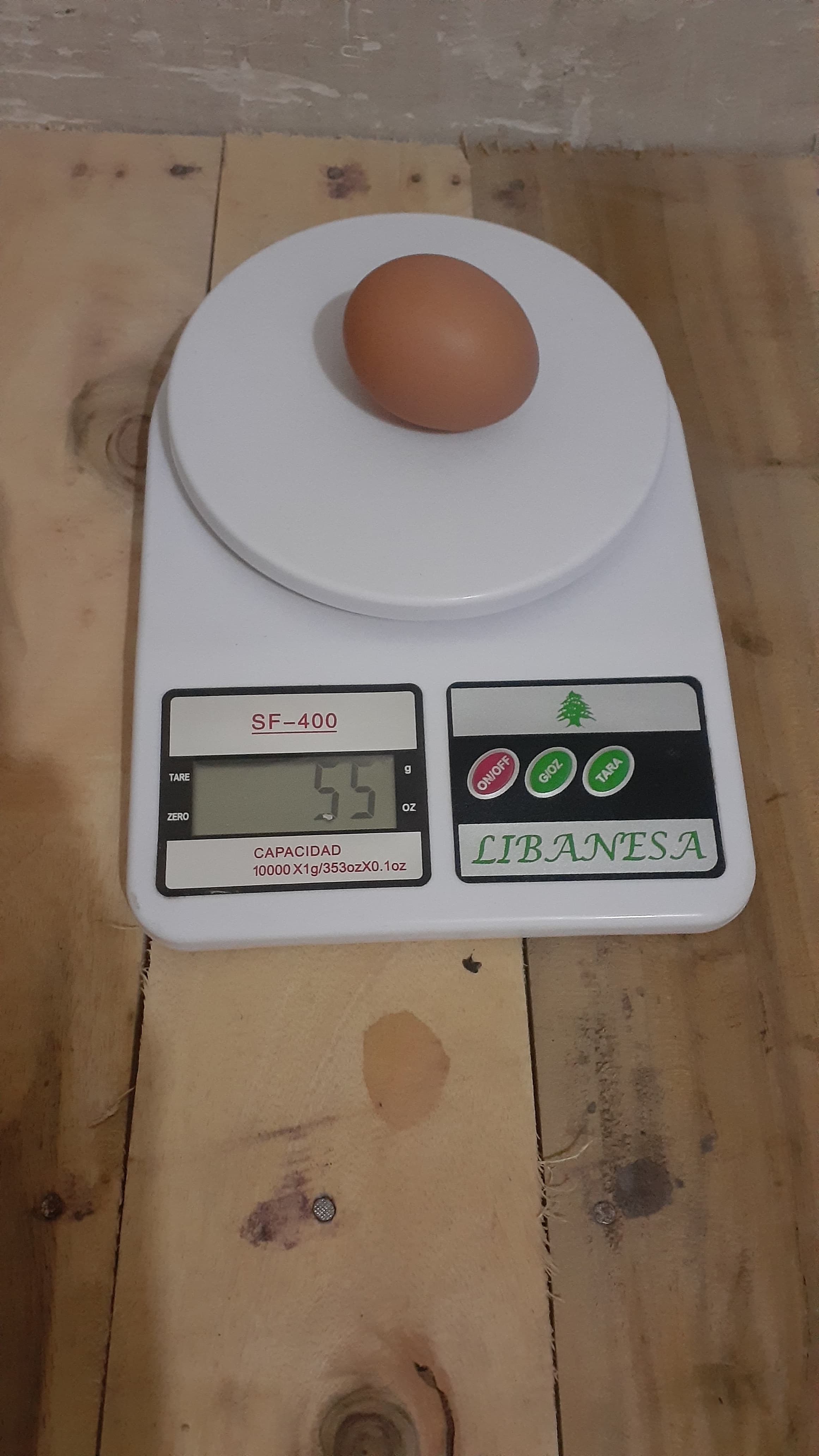 Premium Lohman Brown Hen Eggs – Fresh from Anwar Fresh Farm - (Non Fertile)