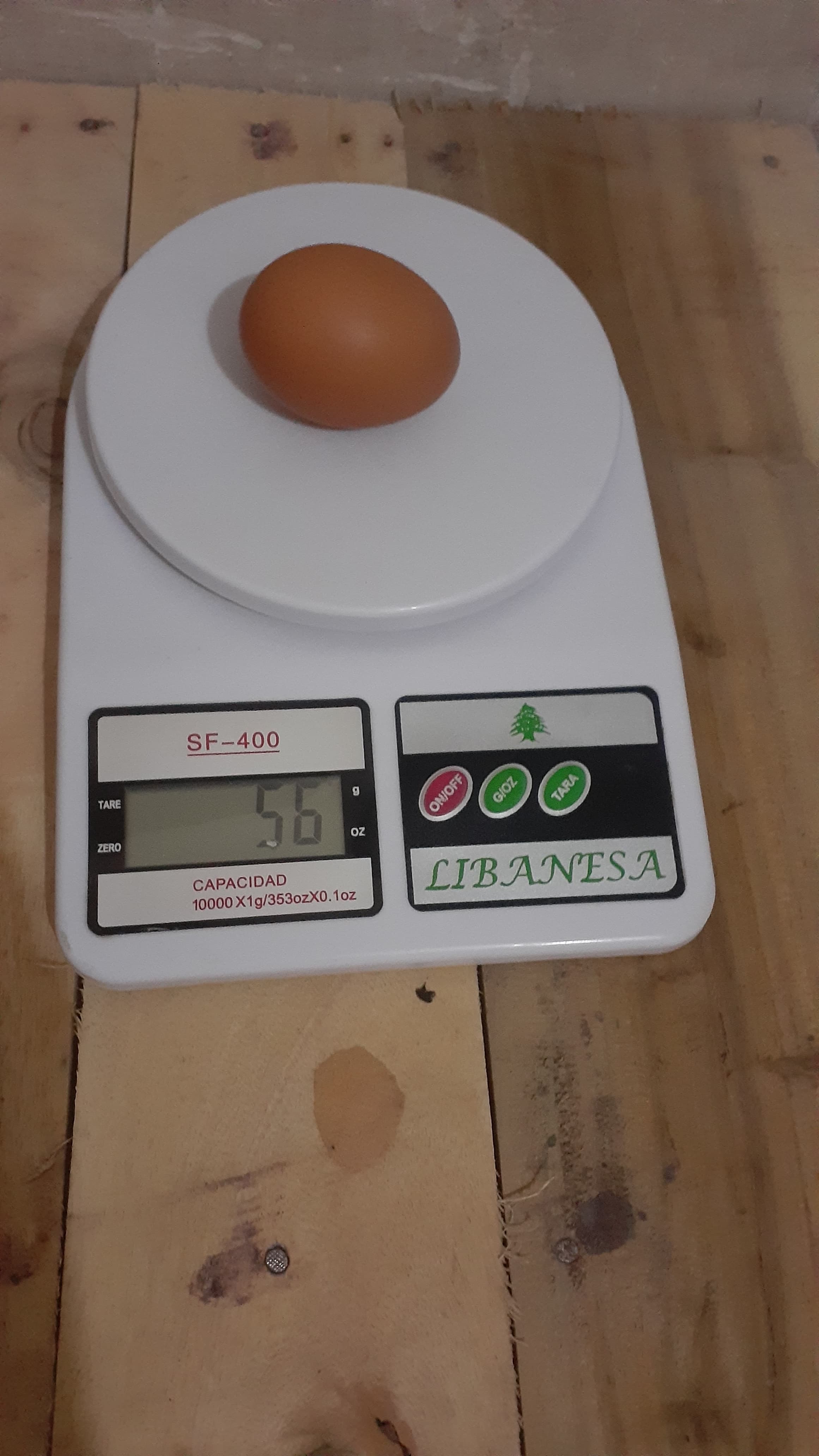 Premium Lohman Brown Hen Eggs – Fresh from Anwar Fresh Farm - (Non Fertile)